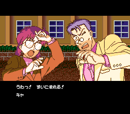 Miracle Girls screenshot 5 for Super Famicom